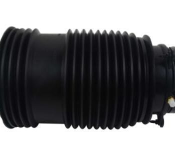 Rear Coil Spring Air Type Right Side | A2053200225