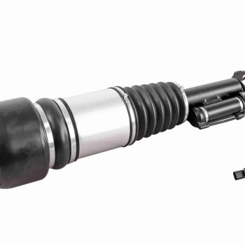 Left Front Strut Air Type | A2113206113