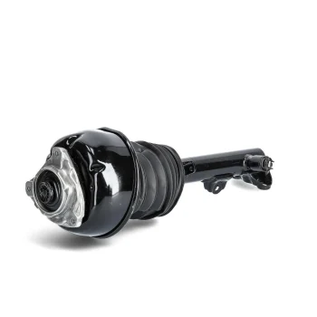 AIR STRUT | A2183206613